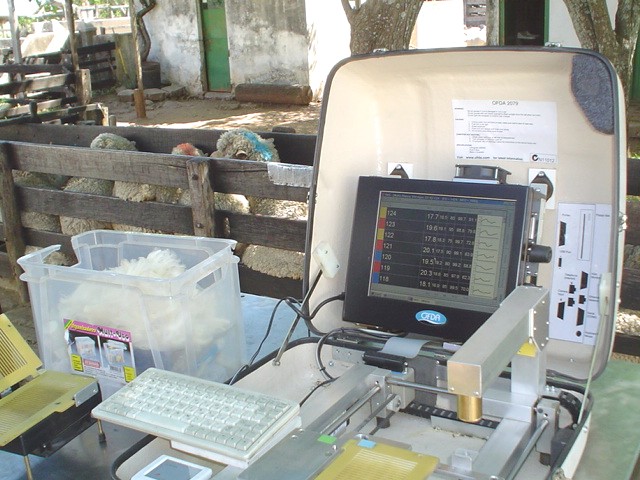 Medición OFDA